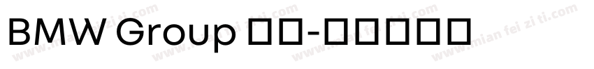BMW Group 中文字体转换
